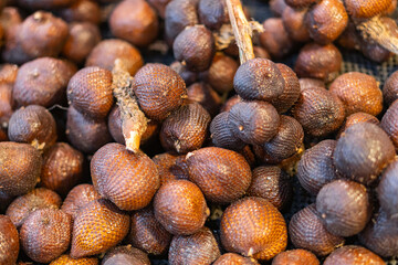 Close-up of Unique Brown Seeds