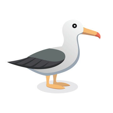 recommend clip art: Albatross bird isolated flat vector illustration on white background