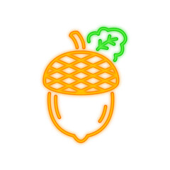 Acorn Neon Signboard