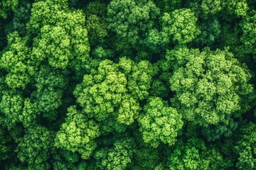 Fototapeta premium Verdant Canopy Aerial View of Dense Green Forest Symbolizing Ecological Health, ai