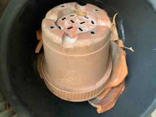 brown potted plant upside down with cracked pots