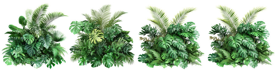 Obraz premium Lush green tropical plants bush floral arrangement isolated on a transparent background.PNG