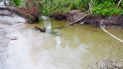 Natural Scenery Of A Clear Freshwater River In Belinyu Village, Indonesia