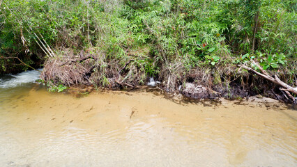 Natural Freshwater River With Clear, Shallow Water On The Edge Of The Bush
