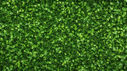 Lush Green Foliage Background Texture