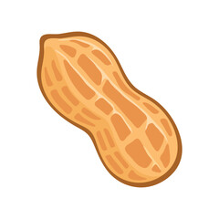 A single peanut in its shell, isolated on a white background.