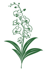 A simple green silhouette of an orchid flower with many buds.