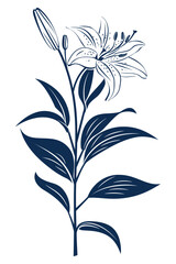 A single blue lily flower with its stem and leaves on a white background.