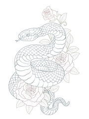 Snake tattoo design, old school and black and gray style snake tattoo, line artwork