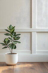 Green plants in white pots on a wooden floor in front of a white wall give a sense of nature, peace and balance. Suitable for interior decoration or wallpaper that emphasizes a relaxing atmosphere.