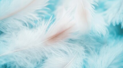 A detailed look at soft white feathers reveals their intricate textures and gentle movements, creating a tranquil and calming atmosphere