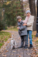 Fototapeta premium Caucasian children walk with a Jack Russell Terrier dog in the autumn park.