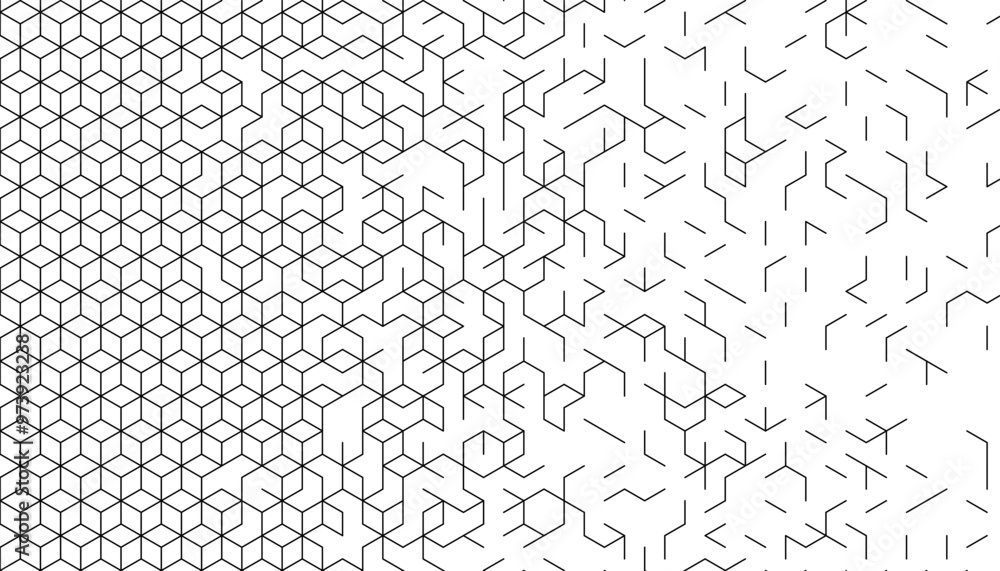 Poster black and white transition of geometric pattern. with lines shape. vector format illustration