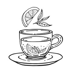Glass cup of tea, lemon slices, tea leaves. Hand drawn vector illustration in outline style.