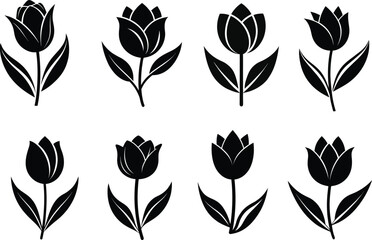 Set of  Elegant Tulip Flower Silhouette Vector Design Illustration