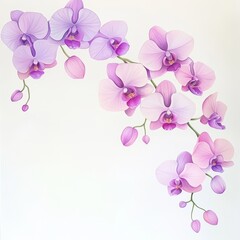 Elegant arrangement of purple and pink orchids, showcasing delicate petals and graceful curves, perfect for nature-themed designs.