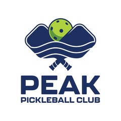 Puncak pickleball racket pickleball bola pickleball
