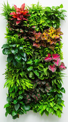 plants leaves greenery vertical garden indoor plants foliage green wall home decor botanical nature leaf texture plant arrangement living wall exotic plants