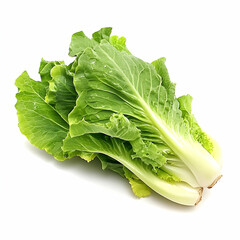 Green butterhead lettuce isolated on white background