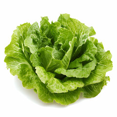 Green butterhead lettuce isolated on white background