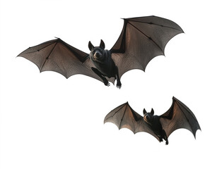 Two Bats in Flight Against a White Background AI Generated