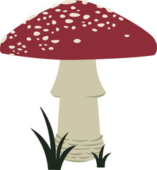 Amanita muscaria, fly agaric