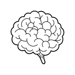 Detailed Brain Vector Graphic, Brain Anatomy Vector Illustration.