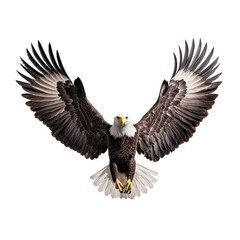 Fototapeta premium Majestic Bald Eagle in Flight with Wings Fully Spread Against Background