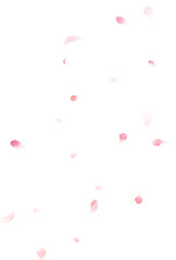 背景素材_水彩花吹雪_桜