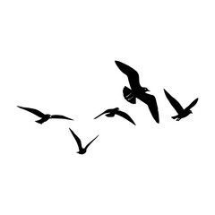 many Flying Birds isolated on white background