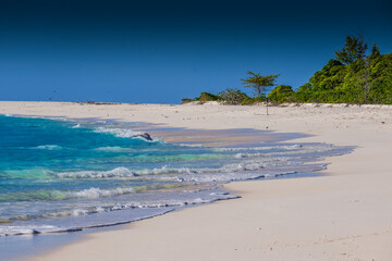 Seychelles Bird island
