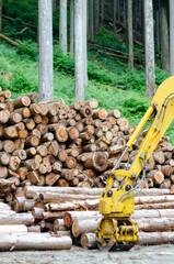 バイオマス発電用に使用される間伐材とグラップル