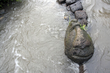 A large stone shaped like a human face emerges from the waters of a flowing river, its contours...