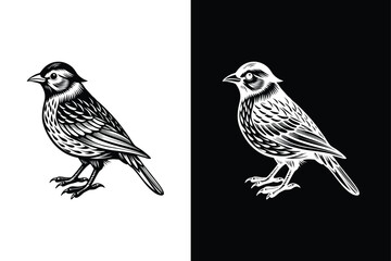 Elegant Bird Icons and Silhouettes. Black Vector Elements for Branding