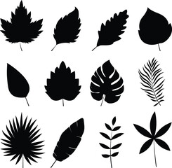 silhouette leaves on transparent background, vector design