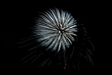 夜空に上がった大輪の華