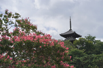 日本の夏　横浜の日本庭園　7月　8月