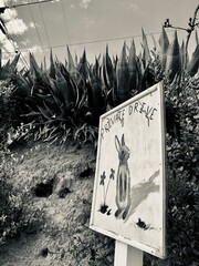 Rustic hand-painted �PRIVATE DRIVE� sign featuring an upright rabbit and flowers on a weathered...