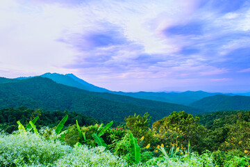 Fototapeta premium Beautiful mountain views of Phayao Province
