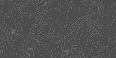 White wave paper curved reliefs abstract background, Abstract topographic contours map background, Topography map background. Vector geographic contour map