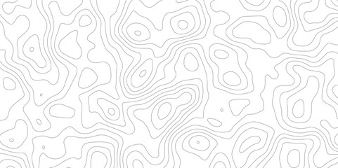 White wave paper curved reliefs abstract background, Abstract topographic contours map background, Topography map background. Vector geographic contour map