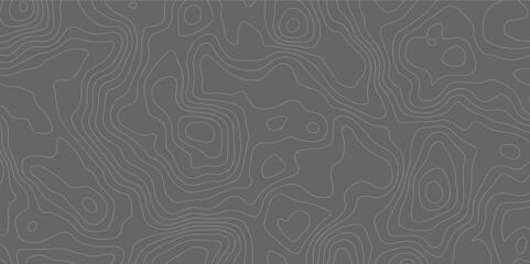 White wave paper curved reliefs abstract background, Abstract topographic contours map background, Topography map background. Vector geographic contour map