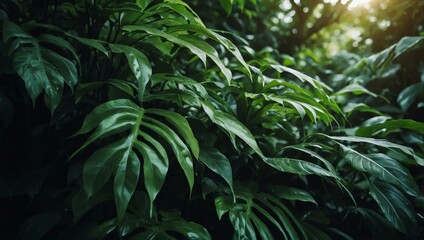 Abstract leaves background.