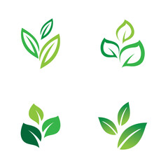 green leaf  logo nature  ecology