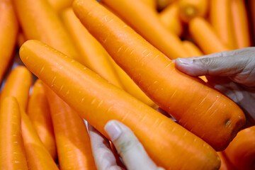 Cropped hand holding fresh carrots in market