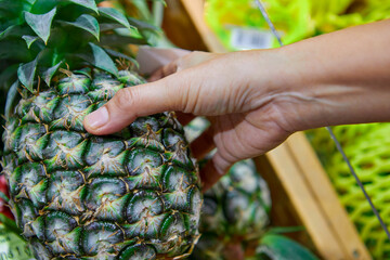 Close-up of hand holding ripe pineapple for sale at market