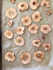 Dried apple slices on a parchment-lined baking sheet