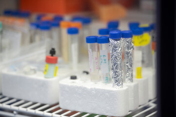 Conical centrifuge tubes wrapped in foil in biotech lab refriger