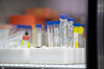 Samples in conical centrifuge tubes wrapped in foil in biotech l