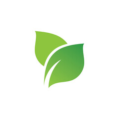 Leaf green nature logo and symbol vector